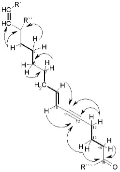 The Search for Novel NF-κB Inhibitors from Compounds Derived from Marine Invertebrates as Potential Anti-Tumor Therapies